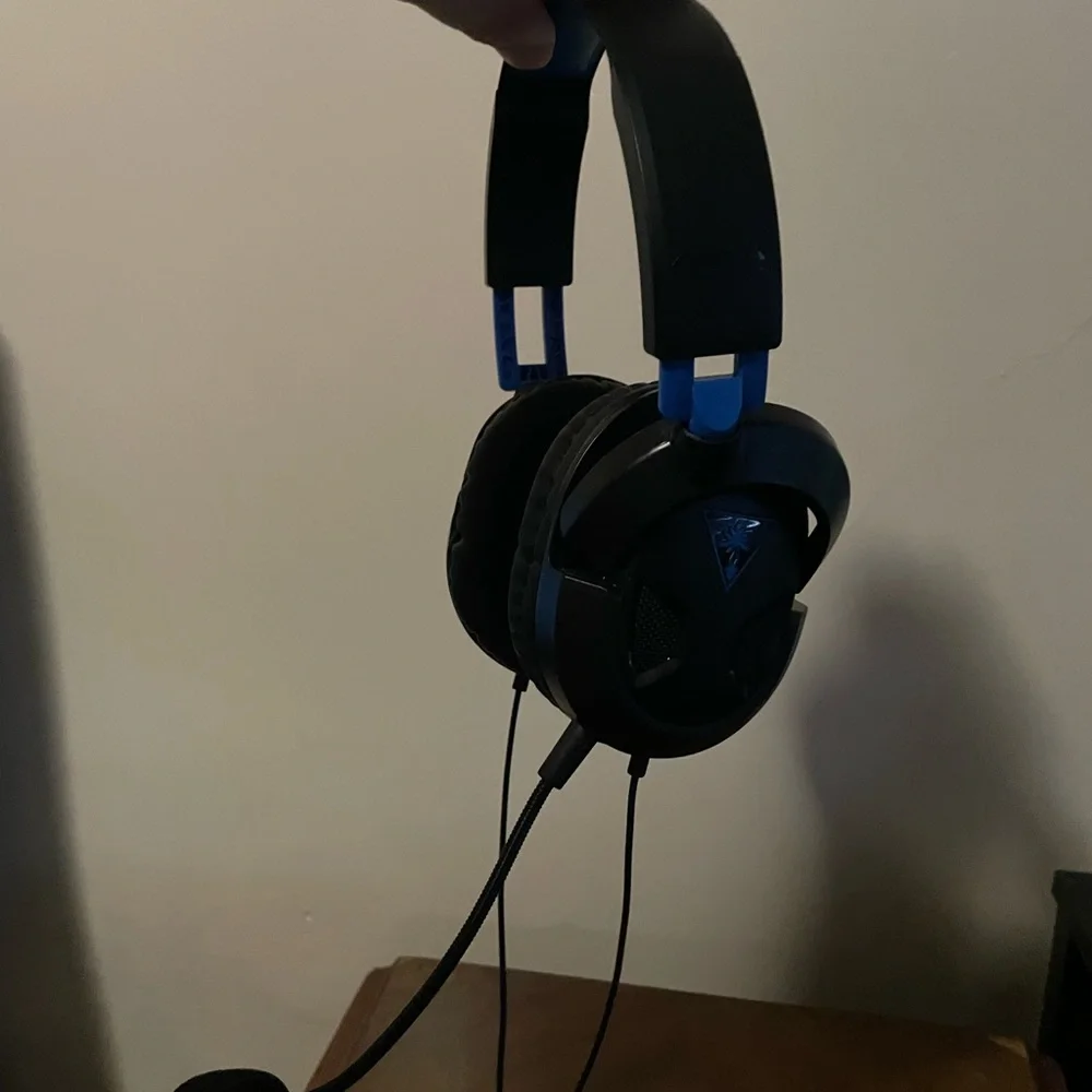 Turtle beach headset